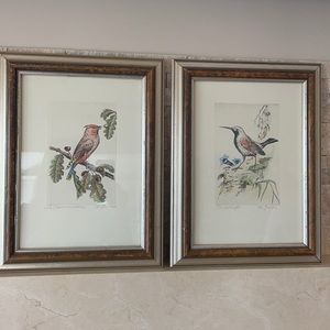 Pair of hand-colored Aviary Prints, framed